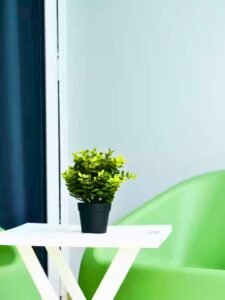 Green chair and small table with a potted plant