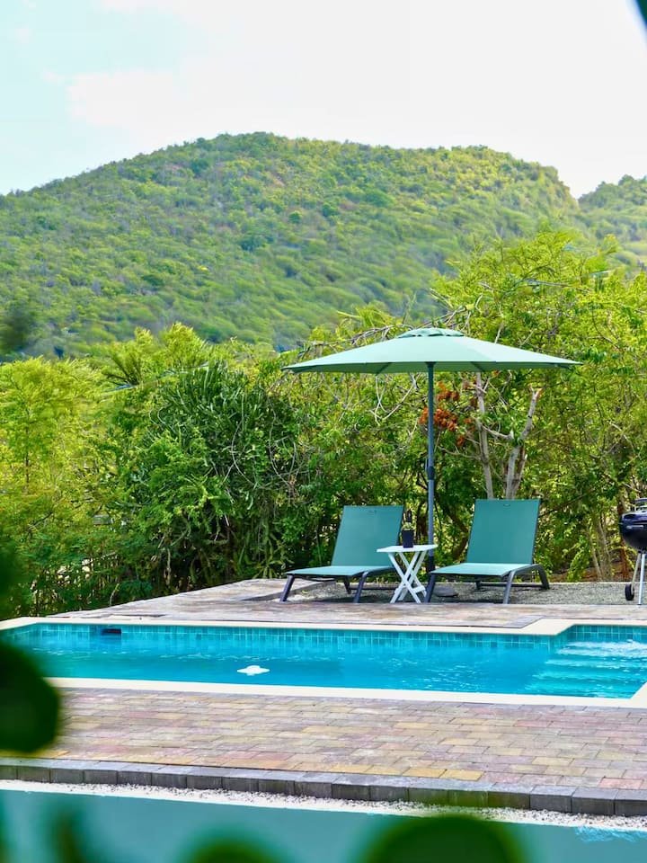 Shared pool with loungers and umbrella and green hills behind