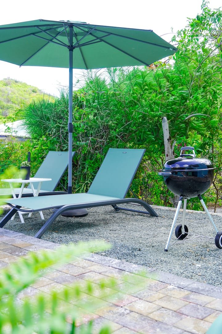 Loungers and umbrella and BBQ grill by the shared pool