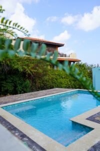 Shared swimming pool surrounded by tropical plants