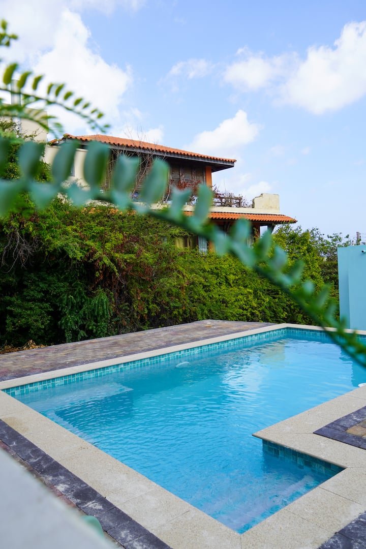 Shared swimming pool surrounded by tropical plants
